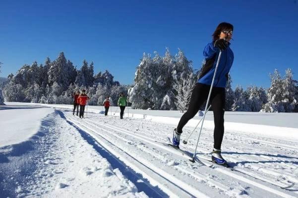 Penzion Svata Trojice Trhové Sviny Exteriör bild